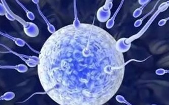 单角子宫在内蒙古包钢医院做超长方案试管生子需要多少钱？