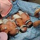 威它尼医院的哇娜甘和吴拉瓦最，试管婴儿医生