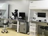合肥能申请做助孕的医院有哪些(合肥做试管助孕生孩子费用多少)