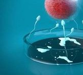 南昌助孕_南昌私人三代试管助孕机构_南昌人工助孕生宝宝服务