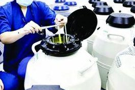 2026年辽宁省大连市助孕机构比较完美的几家私立机构重点推荐