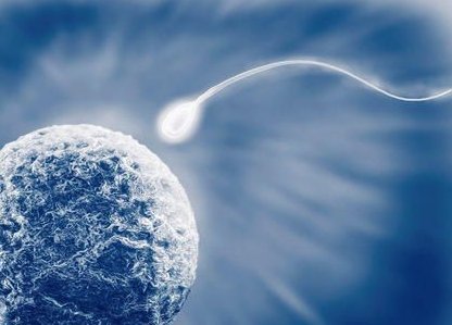 湖南比较大的助孕机构排名-湖南省10大助孕公司