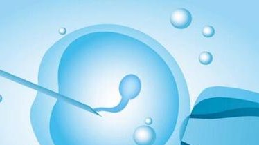 日本如何提高试管婴儿成功率