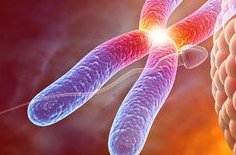 广州私立医院试管技术好的医院推荐 广州做试管婴儿多少钱？